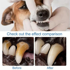 Pet Tartar Remover Foam for Yellow Teeth 60ml