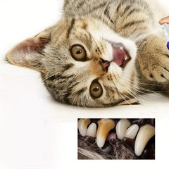 Teeth Cleaning Spray For Cats & Dogs 60ml - Removes Plaque
