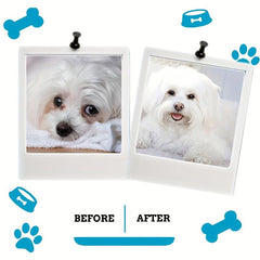 Pet Eye Cleaning Wipes - Tear Stain Remover Pads - 120 Count