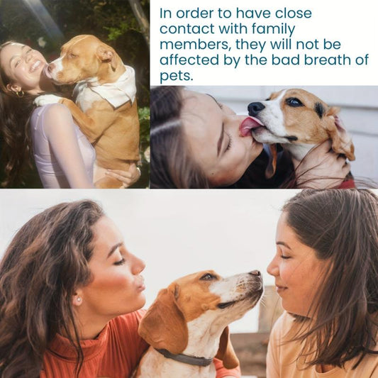 Pet Oral Cleaning Spray Dog Bad Breath Removal Yellow Teeth Cleaning Supplies
