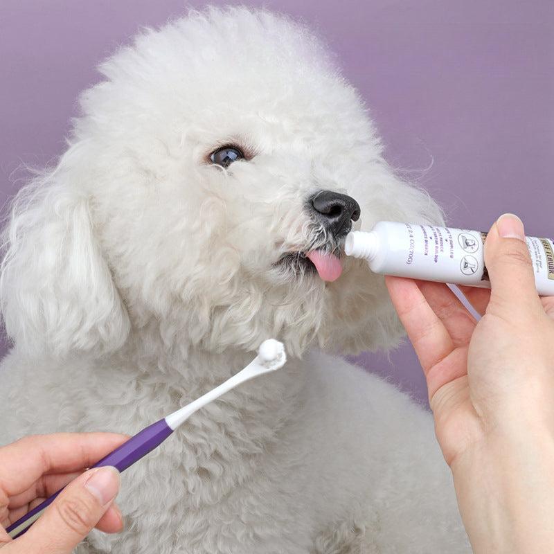 Beef Flavor Pet Toothpaste & Toothbrush Set