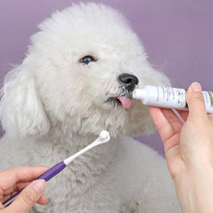 Beef Flavor Pet Toothpaste & Toothbrush Set