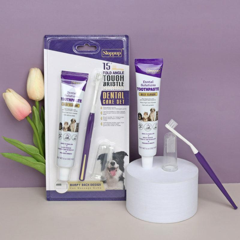 Beef Flavor Pet Toothpaste & Toothbrush Set