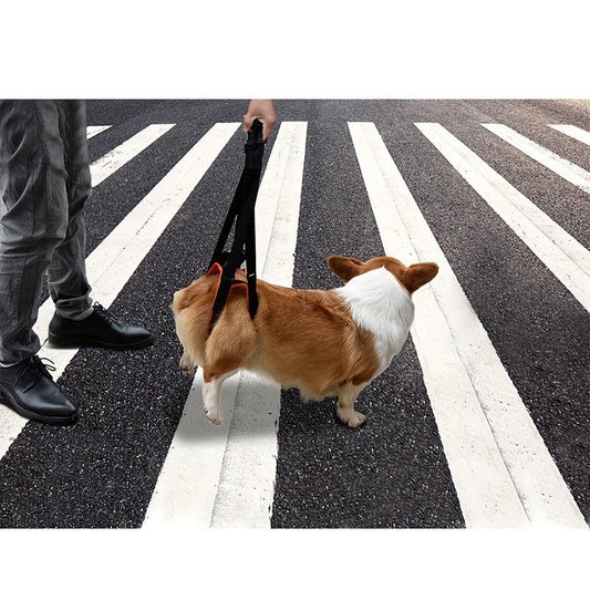 Pet Dog Universal Leash Front And Rear Leg Disability Injury Assisted Walking