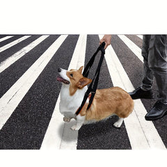 Pet Dog Universal Leash Front And Rear Leg Disability Injury Assisted Walking