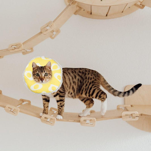 Cat Cone Collar Soft Recovery Collar Adjustable Healing Elizabeth Collar