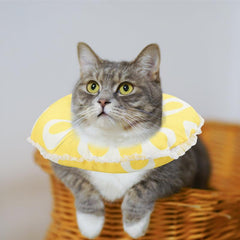 Cat Cone Collar Soft Recovery Collar Adjustable Healing Elizabeth Collar