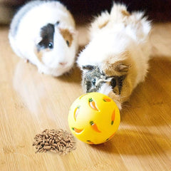 Carrot Pattern Hamster Leaking Toy For Small Pet