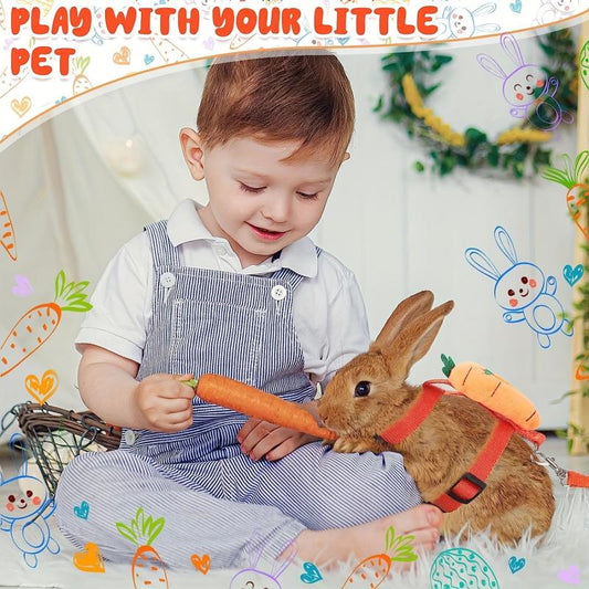 Adjustable Rabbit Harness & Leash Set - Carrot & Strawberry Design