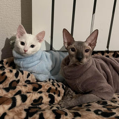 Cozy Faux Fur Sweater for Hairless Cats