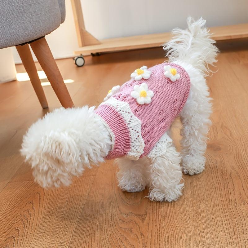 Cherry Knitwear Hoodie for Small and Medium Dogs