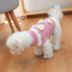 Cherry Knitwear Hoodie for Small and Medium Dogs