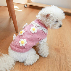 Cherry Knitwear Hoodie for Small and Medium Dogs