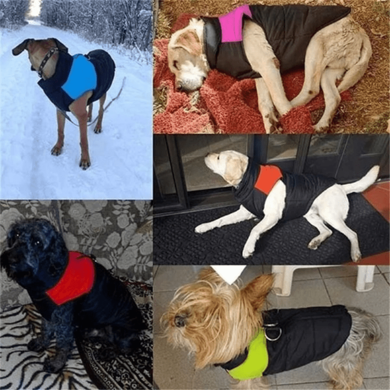 Winter Dog Vest with D Ring, Warm Padded, 5 Sizes