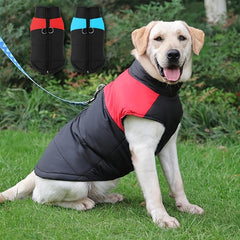 Winter Dog Vest with D Ring, Warm Padded, 5 Sizes