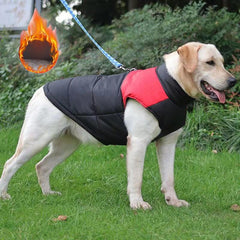 Winter Dog Vest with D Ring, Warm Padded, 5 Sizes