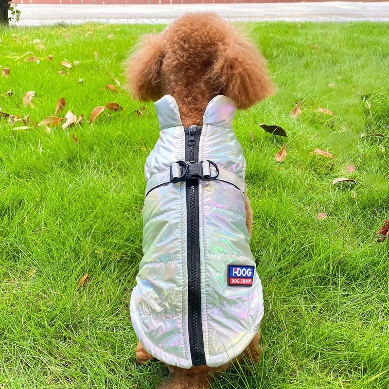 Fluorescent Sea Style Gray Dog Coat Back D Ring for Small Medium Large Dog