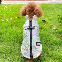 Fluorescent Sea Style Gray Dog Coat Back D Ring for Small Medium Large Dog
