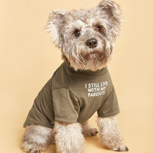 Brown Words Pattern Pet Tee for Small & Medium Dogs