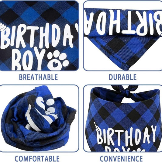 Adorable Pet Birthday Party Suit