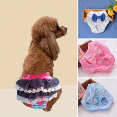 Cartoon Pet Sanitary Pants with Lace Skirt - Multifunctional Pet Accessory