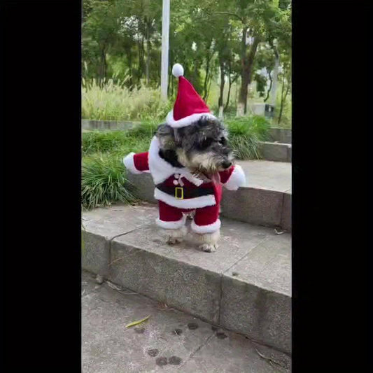 Santa Claus Pet Suit for Winter Festive Look