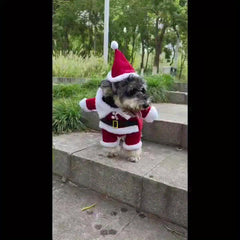 Santa Claus Pet Suit for Winter Festive Look