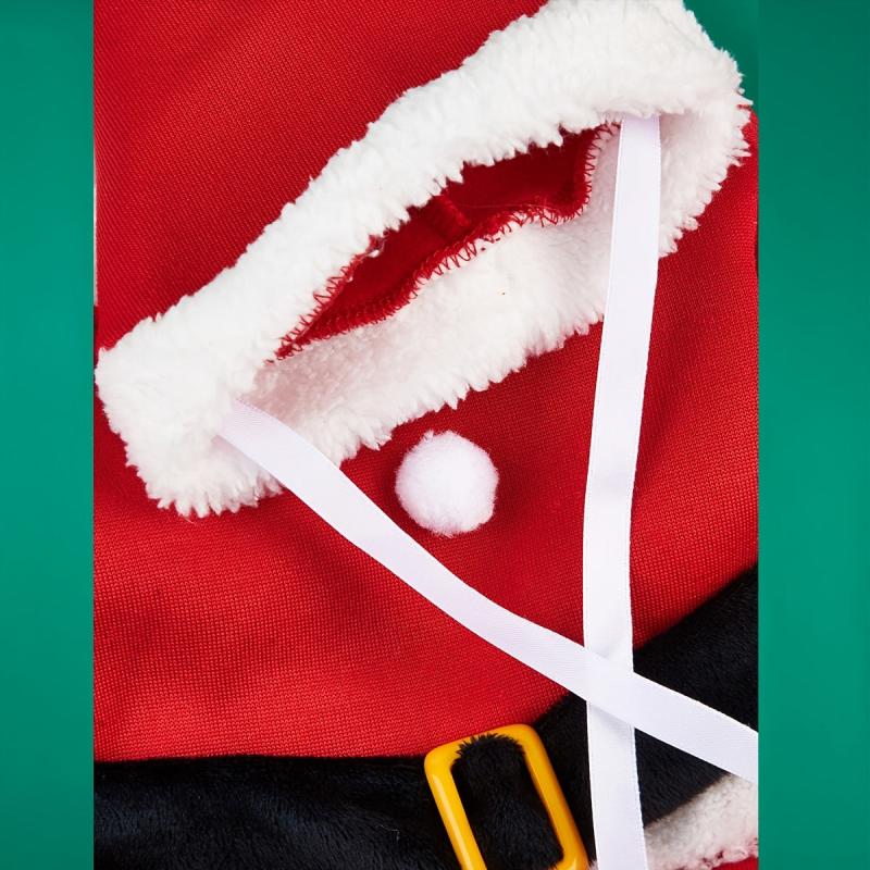Santa Claus Pet Suit for Winter Festive Look