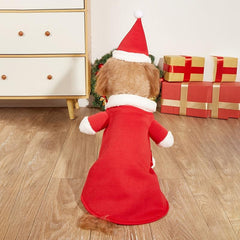 Santa Claus Pet Suit for Winter Festive Look