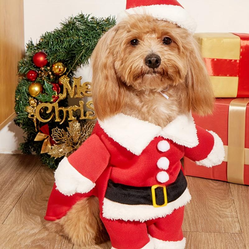 Santa Claus Pet Suit for Winter Festive Look