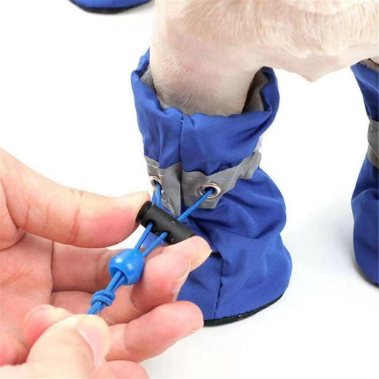 Protect Your Dog's Paws with Waterproof Boots