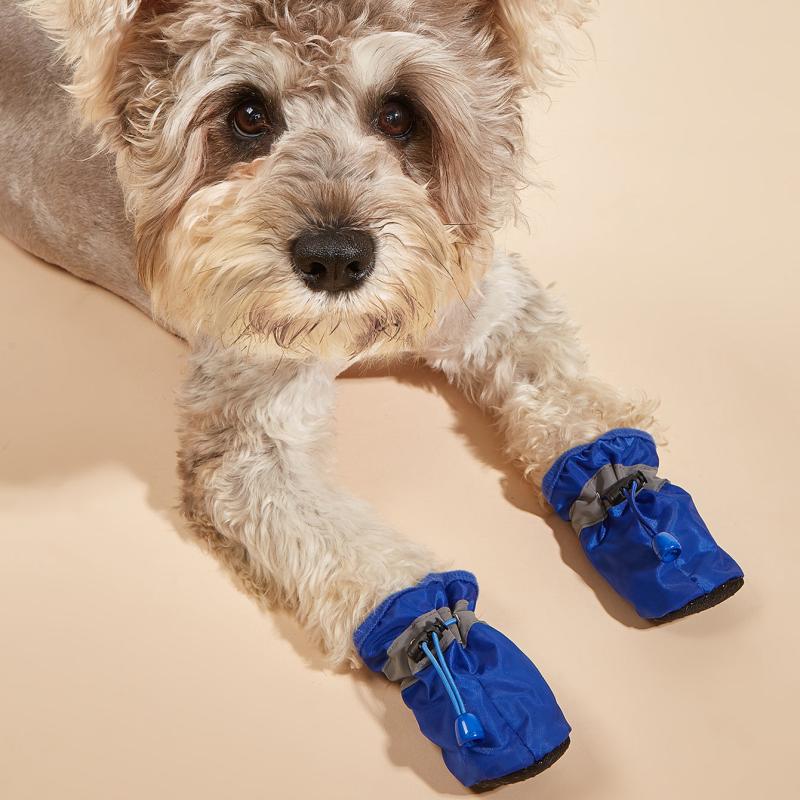 Protect Your Dog's Paws with Waterproof Boots