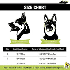 Pet Helmet for Safe Cycling, Skiing, Snowboarding
