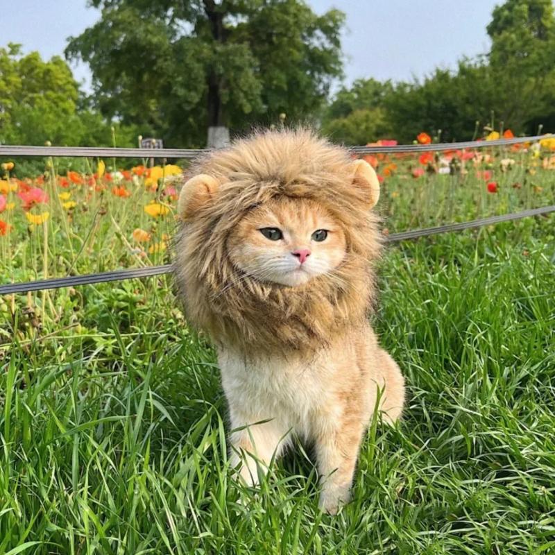 Lion Mane Pet Wig Costume for Dogs and Cats - Fun and Hilarious Look