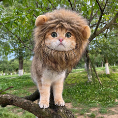 Lion Mane Pet Wig Costume for Dogs and Cats - Fun and Hilarious Look
