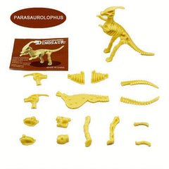 DIY Dinosaur Skeleton Educational Toys Set
