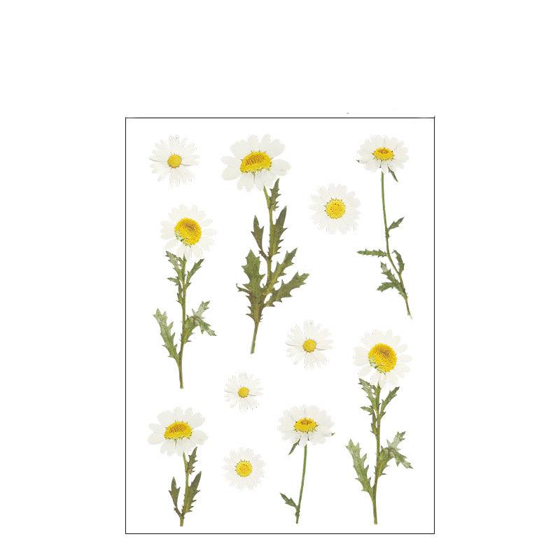 Adorable Plant Pattern Stickers for Scrapbooking and Crafts