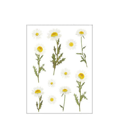 Adorable Plant Pattern Stickers for Scrapbooking and Crafts