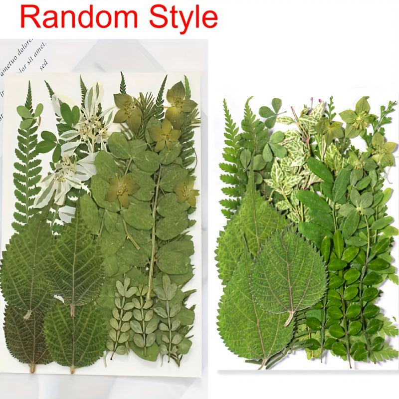 35 Pcs Dried Pressed Leaves & Flowers Set - Resin Art DIY Crafts Bookmarks