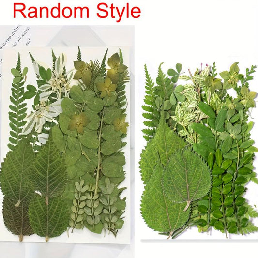 35 Pcs Dried Pressed Leaves & Flowers Set - Resin Art DIY Crafts Bookmarks