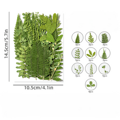 35 Pcs Dried Pressed Leaves & Flowers Set - Resin Art DIY Crafts Bookmarks