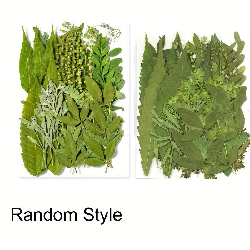 35 Pcs Dried Pressed Leaves & Flowers Set - Resin Art DIY Crafts Bookmarks