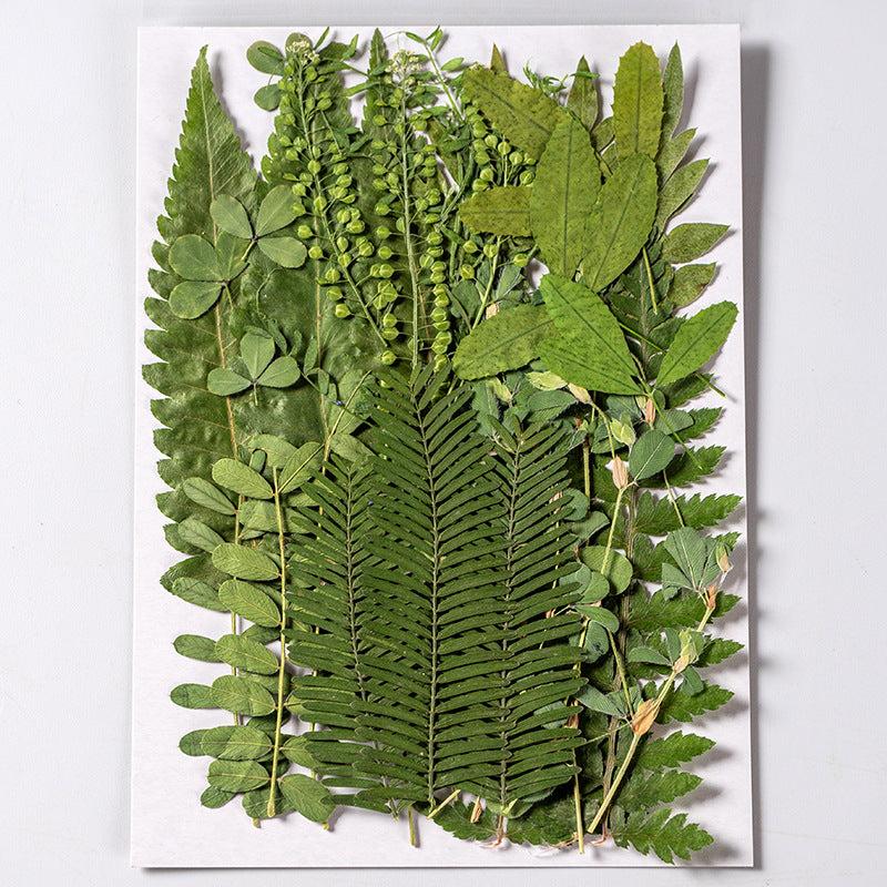 35 Pcs Dried Pressed Leaves & Flowers Set - Resin Art DIY Crafts Bookmarks