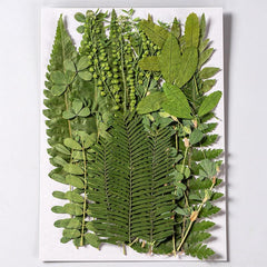 35 Pcs Dried Pressed Leaves & Flowers Set - Resin Art DIY Crafts Bookmarks