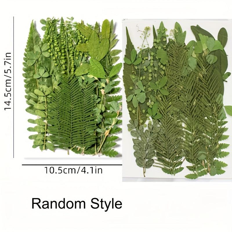 35 Pcs Dried Pressed Leaves & Flowers Set - Resin Art DIY Crafts Bookmarks