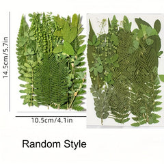 35 Pcs Dried Pressed Leaves & Flowers Set - Resin Art DIY Crafts Bookmarks