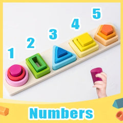 Montessori Science Educational Toys for Kids