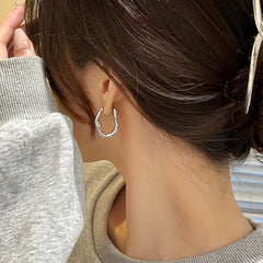 Metal Irregular Geometric Earrings Jewelry