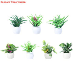 Dollhouse Flower Pots 1:12 Scale DIY Furniture Garden Accessory