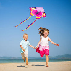 Colorful Butterfly Cartoon Kite with 50m String